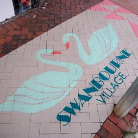 Swannie